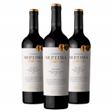 Vinho Bodegas Septima Obra Reserva Malbec - 3 Unidades