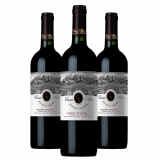 Vinho Casa Silva Estate Grown Cabernet Sauvignon - 3 Unidades