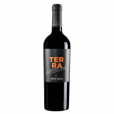 Vinho Conti Zecca Terra Aglianico del Salento IGP