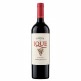 Vinho Enrique Foster Ique Malbec
